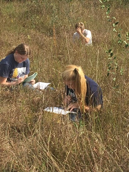 FFA Land Judging 2018